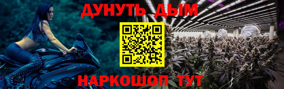 Каннабис конопля Луховицы